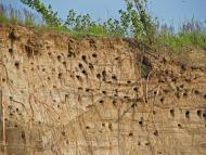 Плоске з panoramio.com