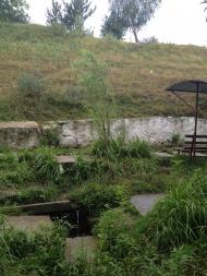 Тараща з panoramio.com