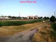 Шевченкове з panoramio.com