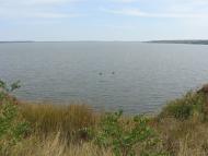 Червона Українка з panoramio.com