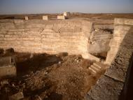 Пшеничне - Останні фото