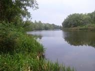 Омельник з panoramio.com