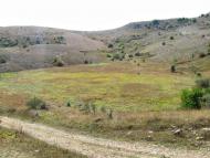 Пчолине з panoramio.com