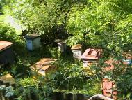 Шмирки з panoramio.com