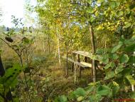 Малий Правутин з panoramio.com