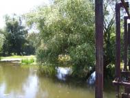 Василівка з panoramio.com