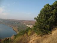 Петрашівка - Останні фото