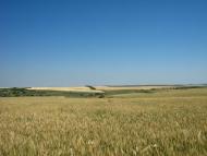 Ониськове з panoramio.com