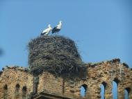 Угринів з panoramio.com