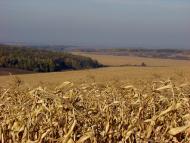 Козирщина з panoramio.com