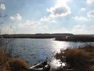 Товпижин з panoramio.com