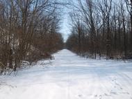 Малинівка з panoramio.com