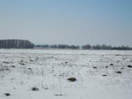 Рівець - Останні фото