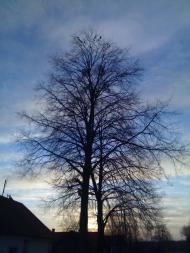 Марочкине з panoramio.com