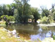 Василівка з panoramio.com