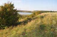 Матвіївці з panoramio.com