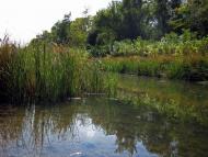 Червоні Поди з panoramio.com