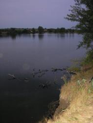 Петрове з panoramio.com