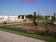 Шевченкове з panoramio.com