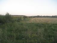 Щурівчики з panoramio.com