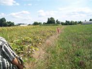 Стара Гута з panoramio.com
