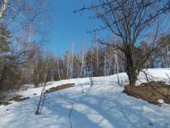 Млинки з panoramio.com