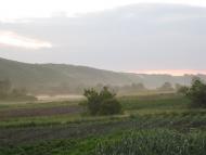 Рогово - Последние фото