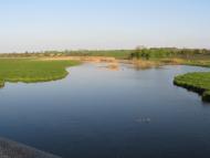 Велика Білозерка з panoramio.com