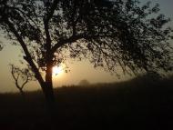 Лозувата з panoramio.com