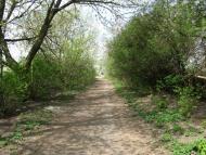 Балясне з panoramio.com