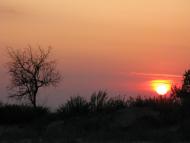 Приморське з panoramio.com