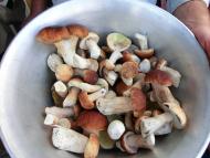 Бондарня з panoramio.com