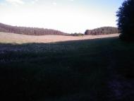 Городище з panoramio.com