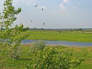 Плоске з panoramio.com