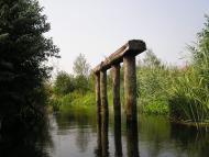 Риботень з panoramio.com