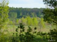 Бучмани з panoramio.com