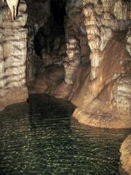 Пчолине з panoramio.com