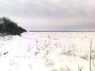 Бутівка - Останні фото