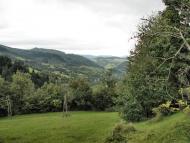 Ужок з panoramio.com