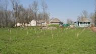 Стара Гута з panoramio.com