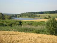 Шийки - Останні фото