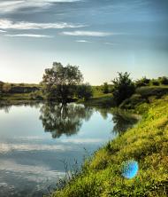 Привітне - Останні фото