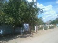 Підстепне з panoramio.com