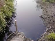 Сальник з panoramio.com