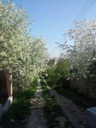 Гвоздів з panoramio.com