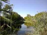 Краснодарський з panoramio.com