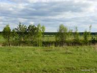 Бучмани з panoramio.com