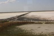 Сиваш з panoramio.com