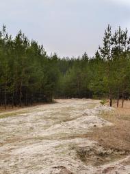 Ярова з panoramio.com