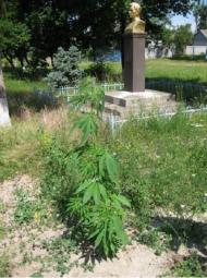 Миропілля з panoramio.com